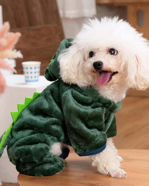 寵物用品市場殺出黑馬 毛孩子也懂快時尚